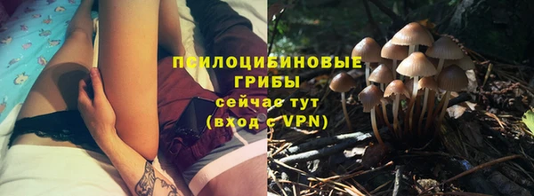 jwh Горно-Алтайск